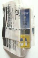Epson T013 «тех.упаковка»